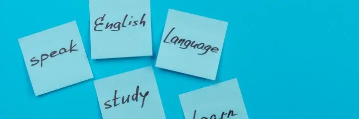 Language